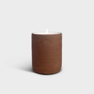 Apricot Wax